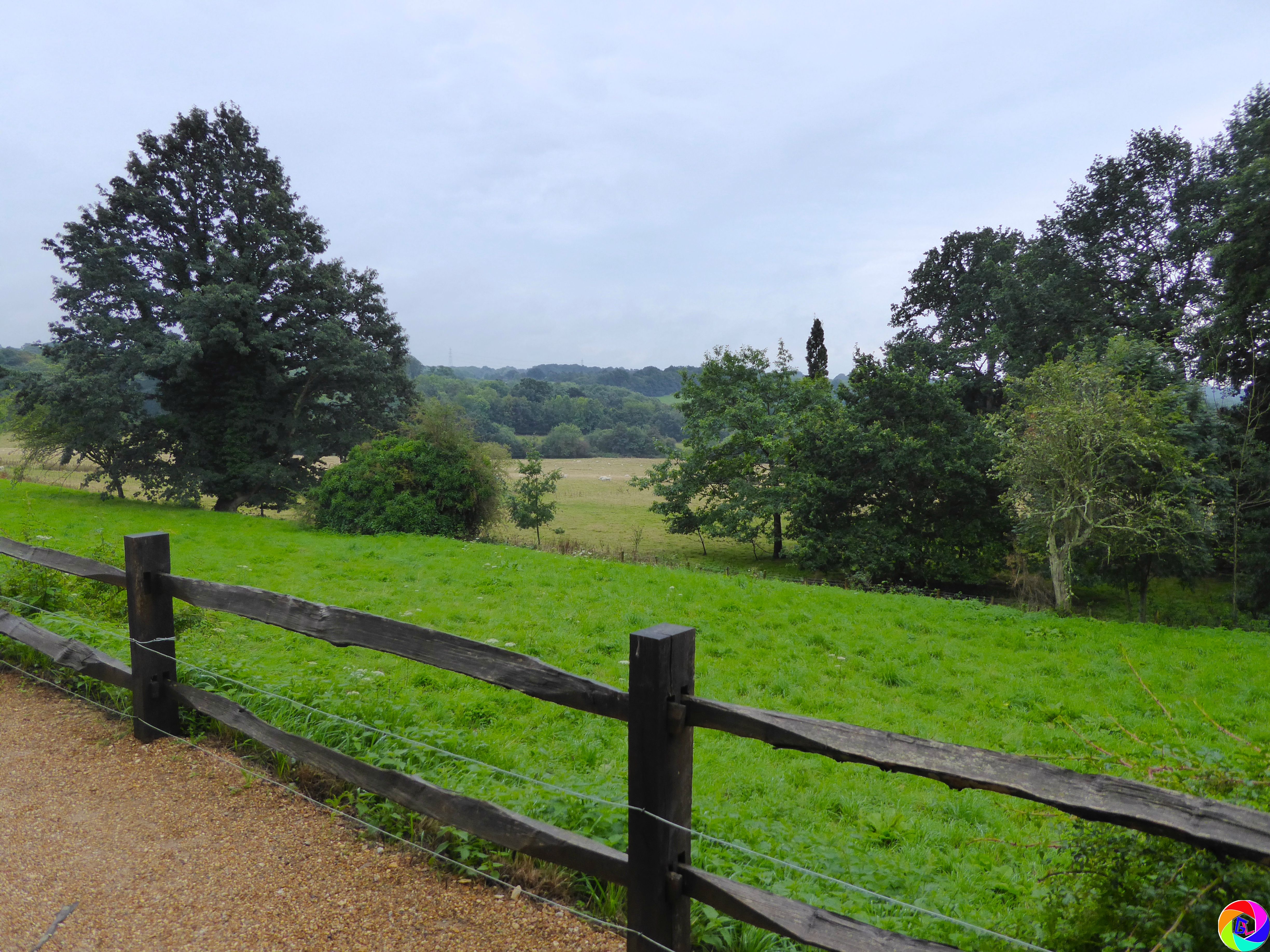 View across battlefield from Saxon line